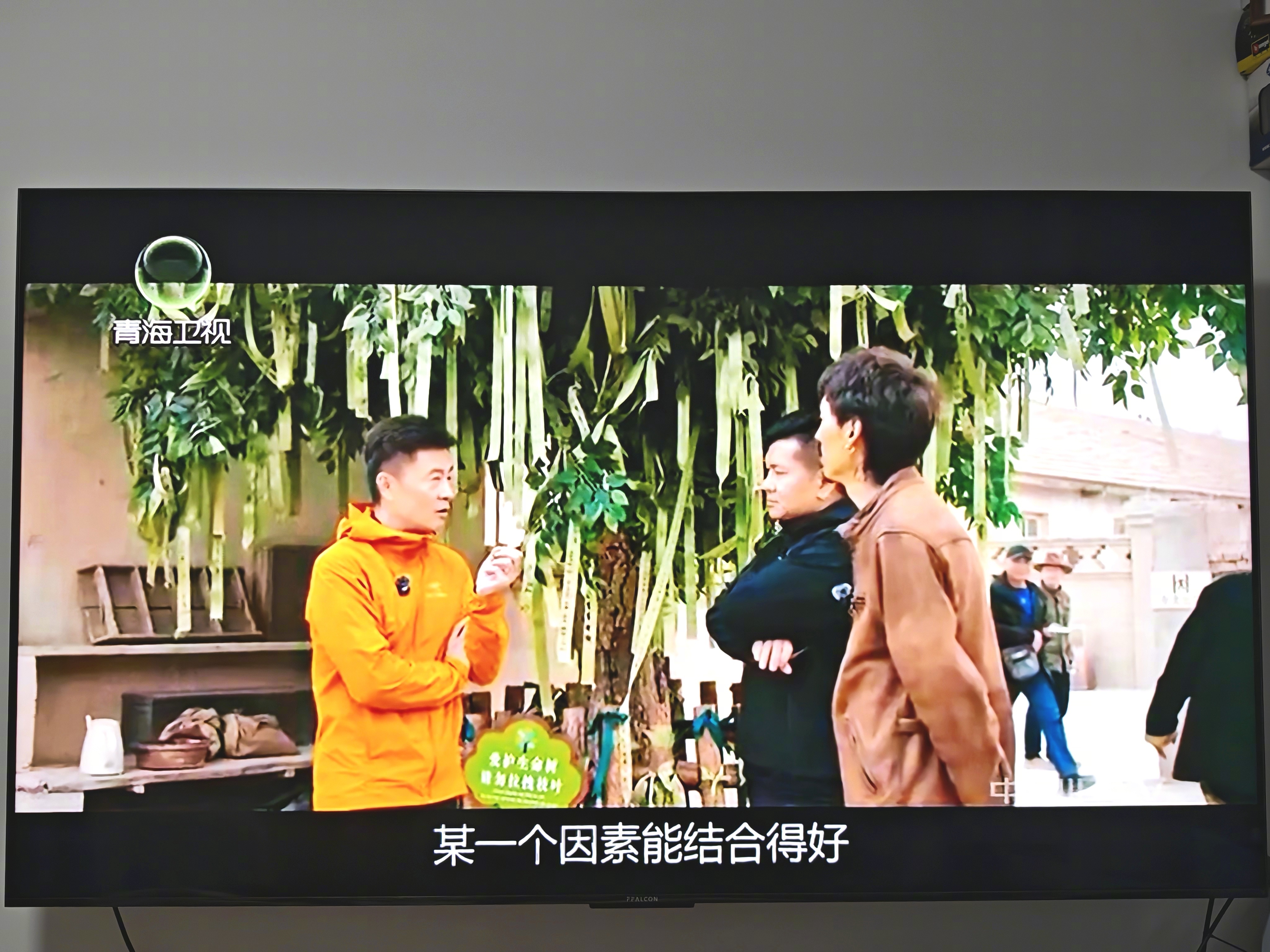 朋友们，青海卫视也是好起来了，播韩路游记妈妈！我上电视啦！青海卫视 今天（8月1