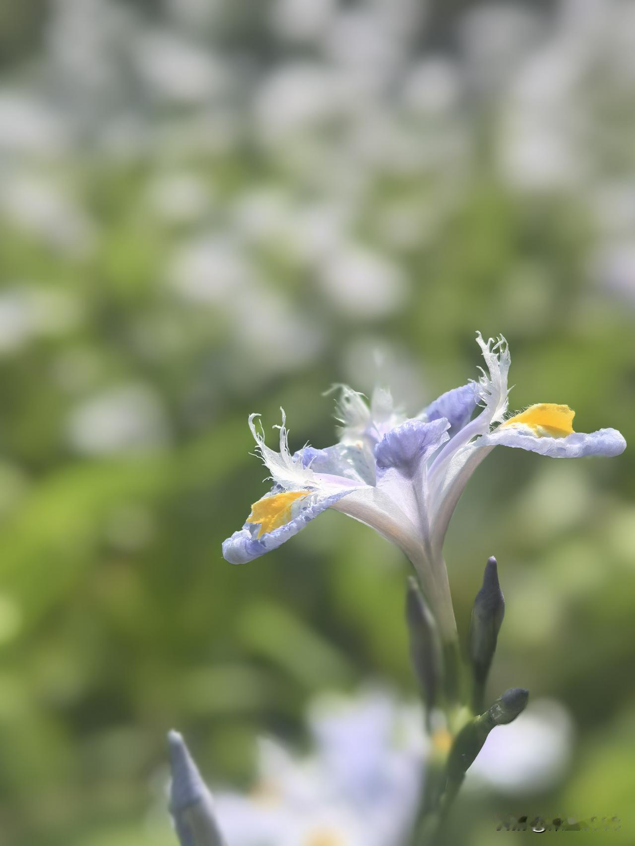 想想人生，再琢磨琢磨人性，还挺吓人的。每个小角落都充满了不平衡的爱恨情仇。

父