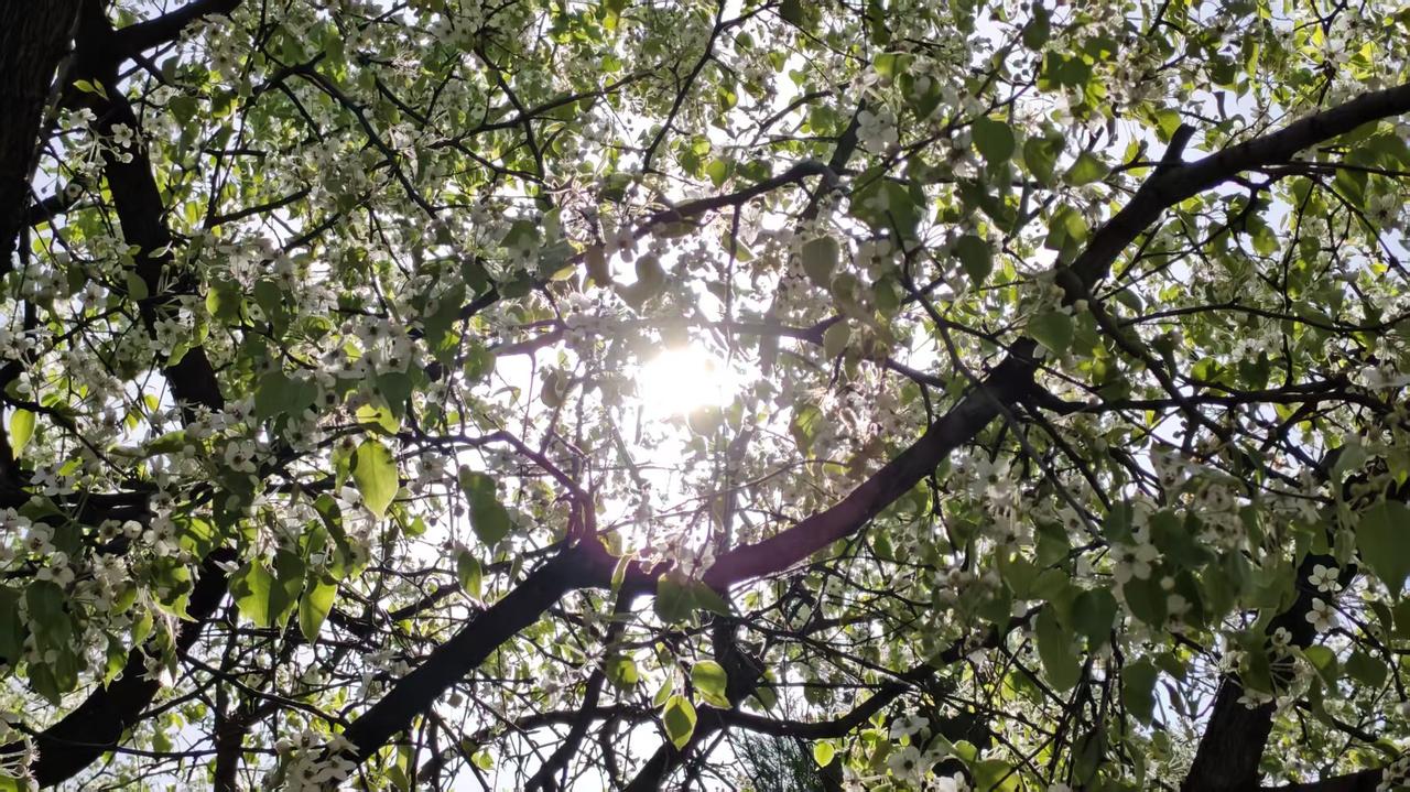 社交平台上，到处流行的都是各种搭子，有吃饭搭子，上自习搭子，运动健身搭子，而且大