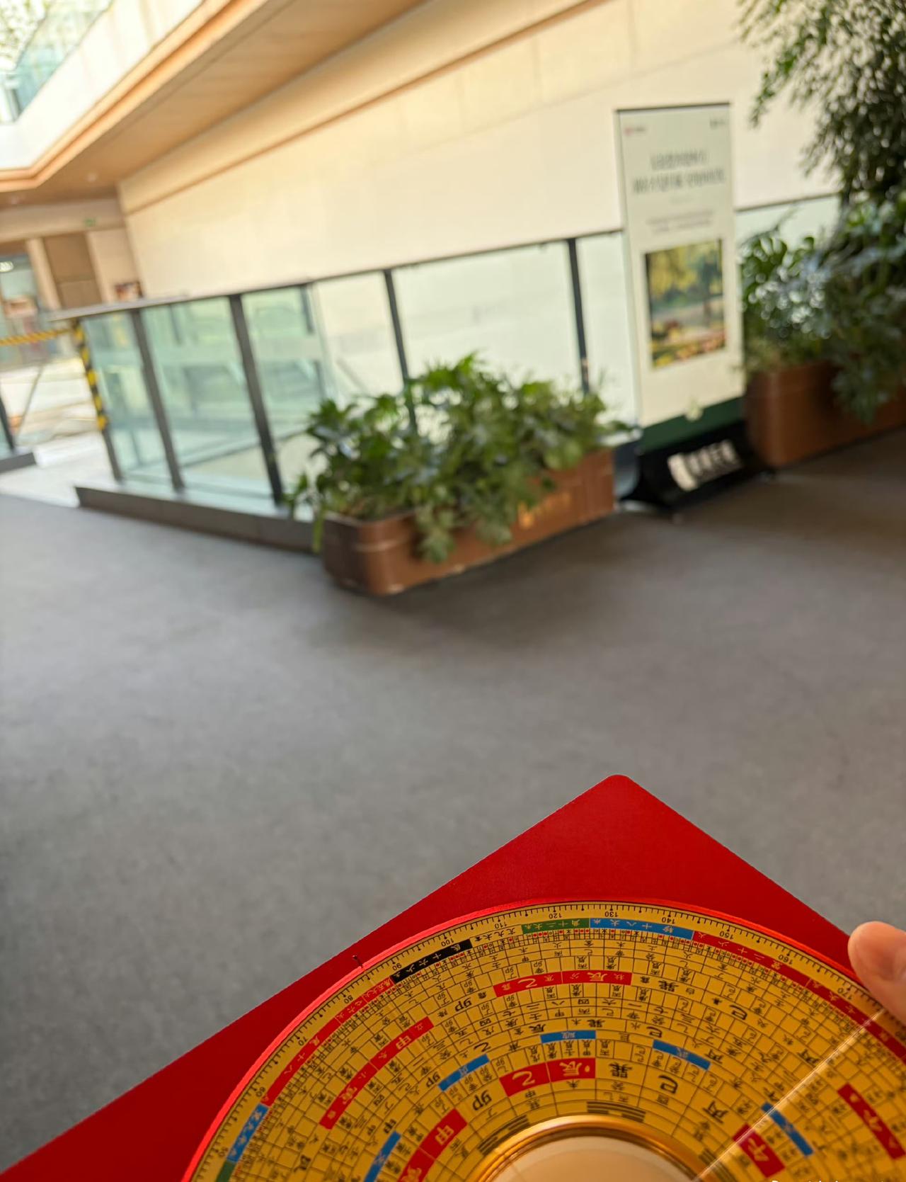 今日运势：乙巳年己丑月乙酉日 2026.1.11日

鼠：中吉大体平安顺利
牛：