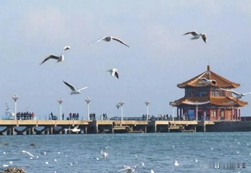 想与你在青岛的秋日里漫步，光是想象那画面，便已觉美不胜收。青岛的秋，色彩浓烈得好