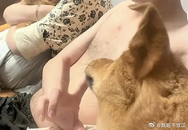 田雷这个腹毛 疑似若若回应