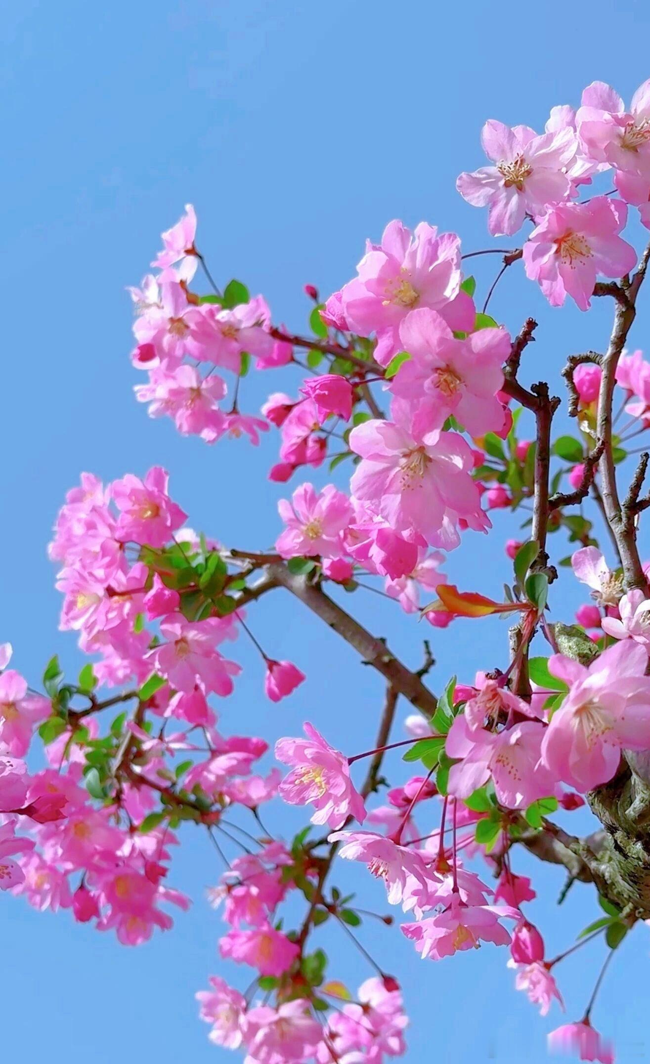 2026创业时，合伙意见不合怎么办？可通过这三个关键动作化解僵局：1.沟通先行：