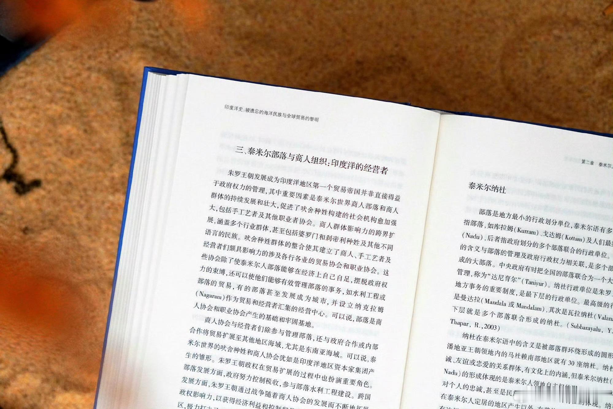 阅读使我告别迷茫我的私人宝藏书单书评 《印度洋史》在西方殖民者到来之前，亚洲人已