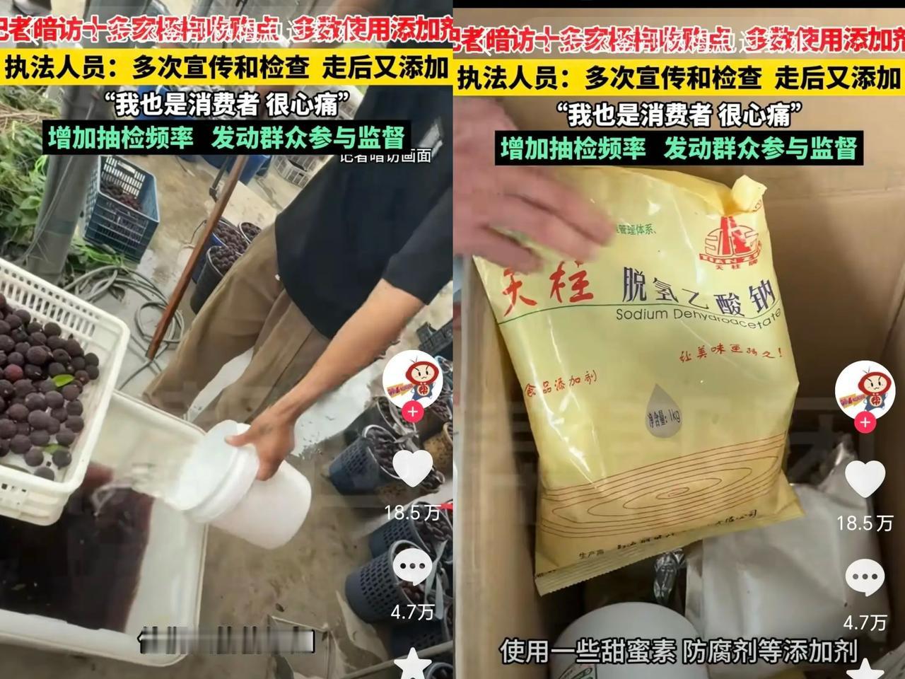 漳州杨梅扬名了，
不过不是啥好名头，而是恶名远扬！
这下可苦了那些种植杨梅的农户