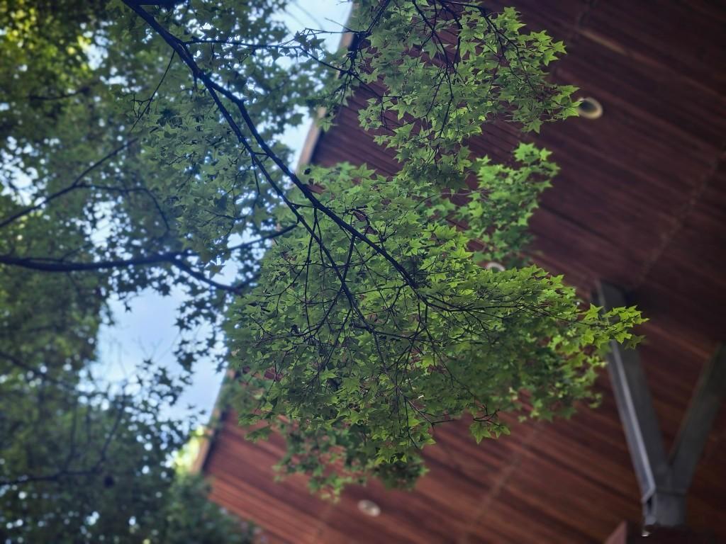 没有列出股级哈 ​​​