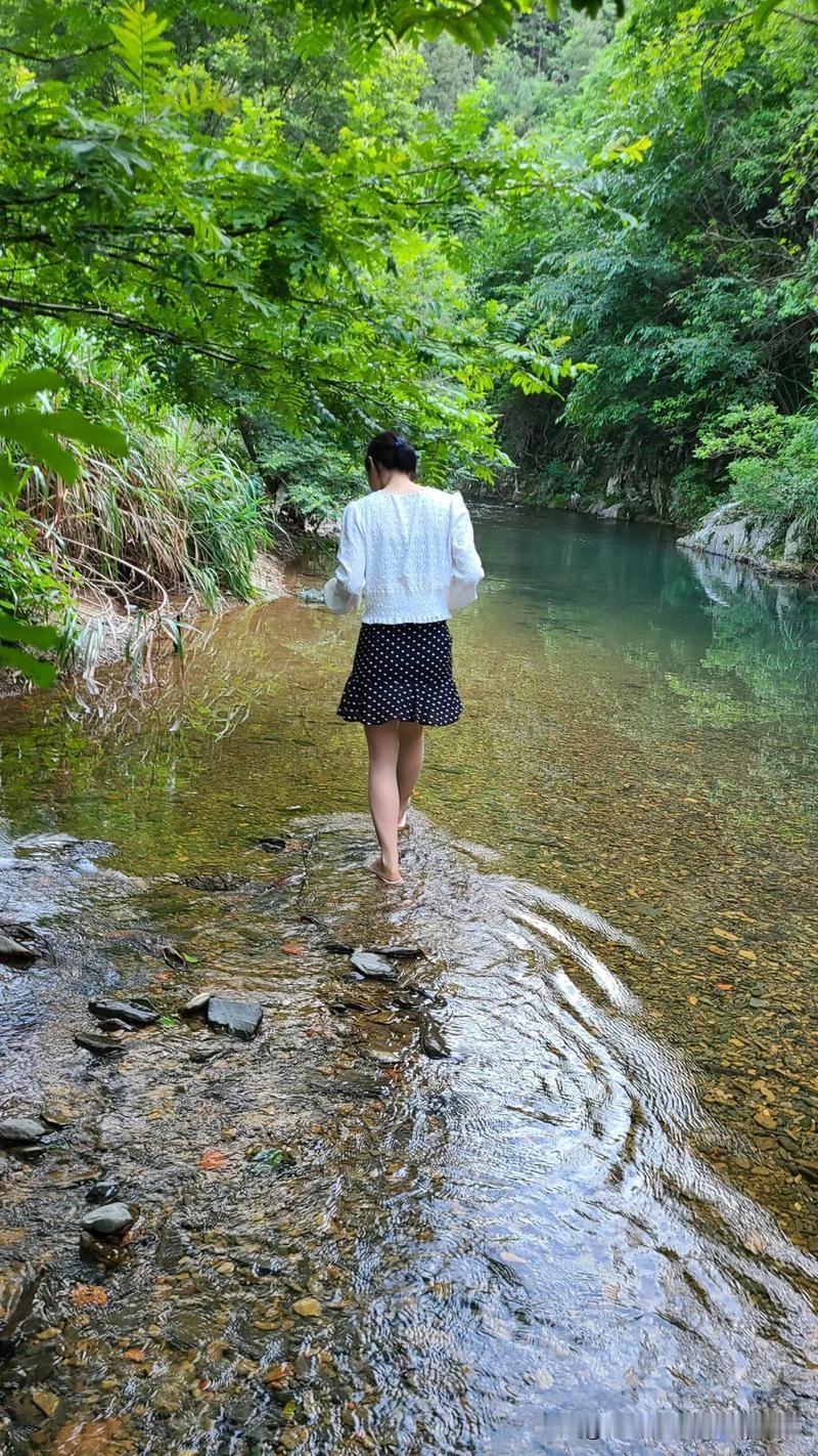 《小溪》
——元 刘秉忠
小溪流水碧如油，
终日忘机羡白鸥。
两岸桃花春色里，