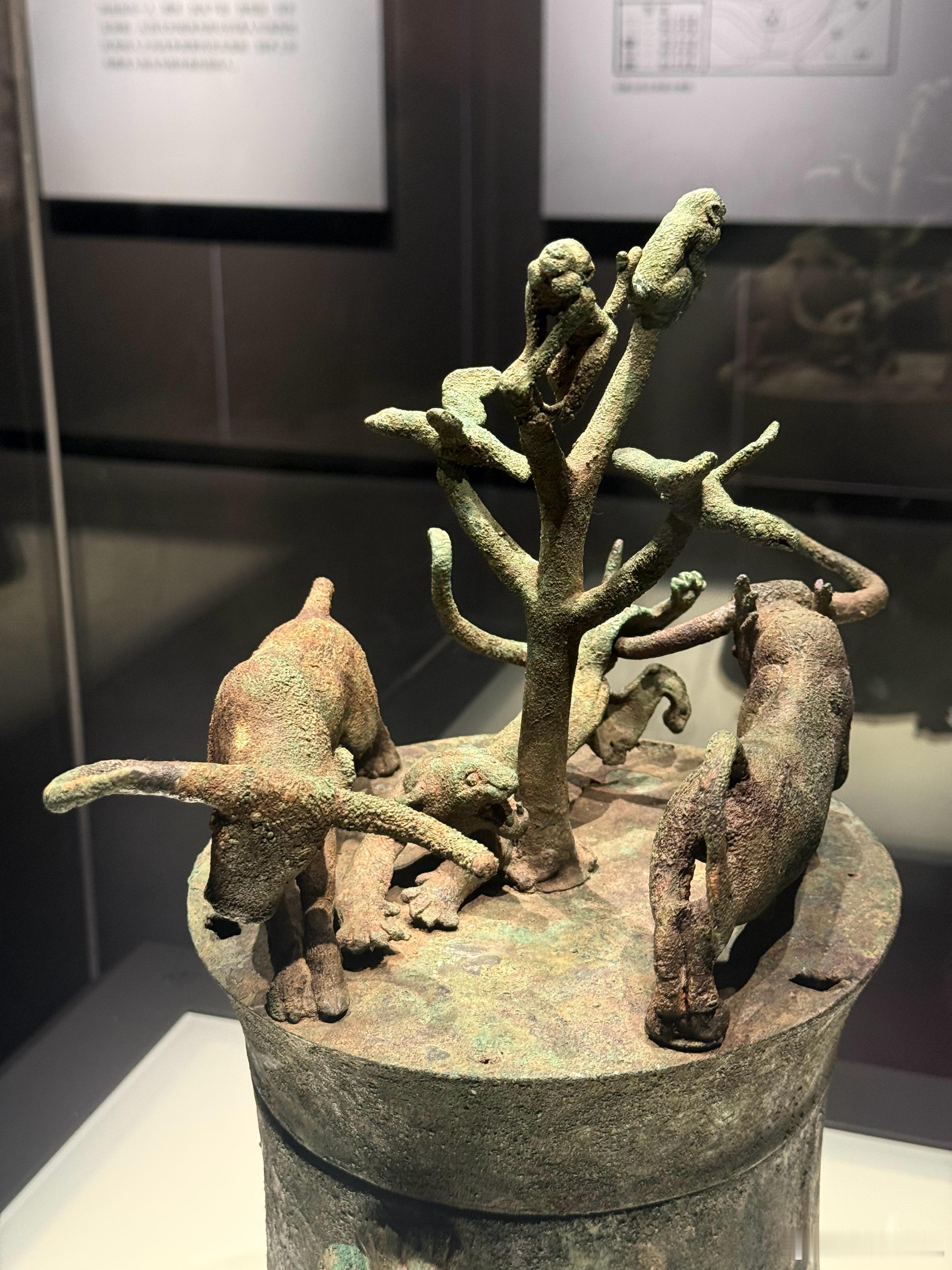 云南省博物馆看到的西汉动物搏斗铜贮贝器（也常称虎牛搏斗贮贝器），是古滇国青铜文化
