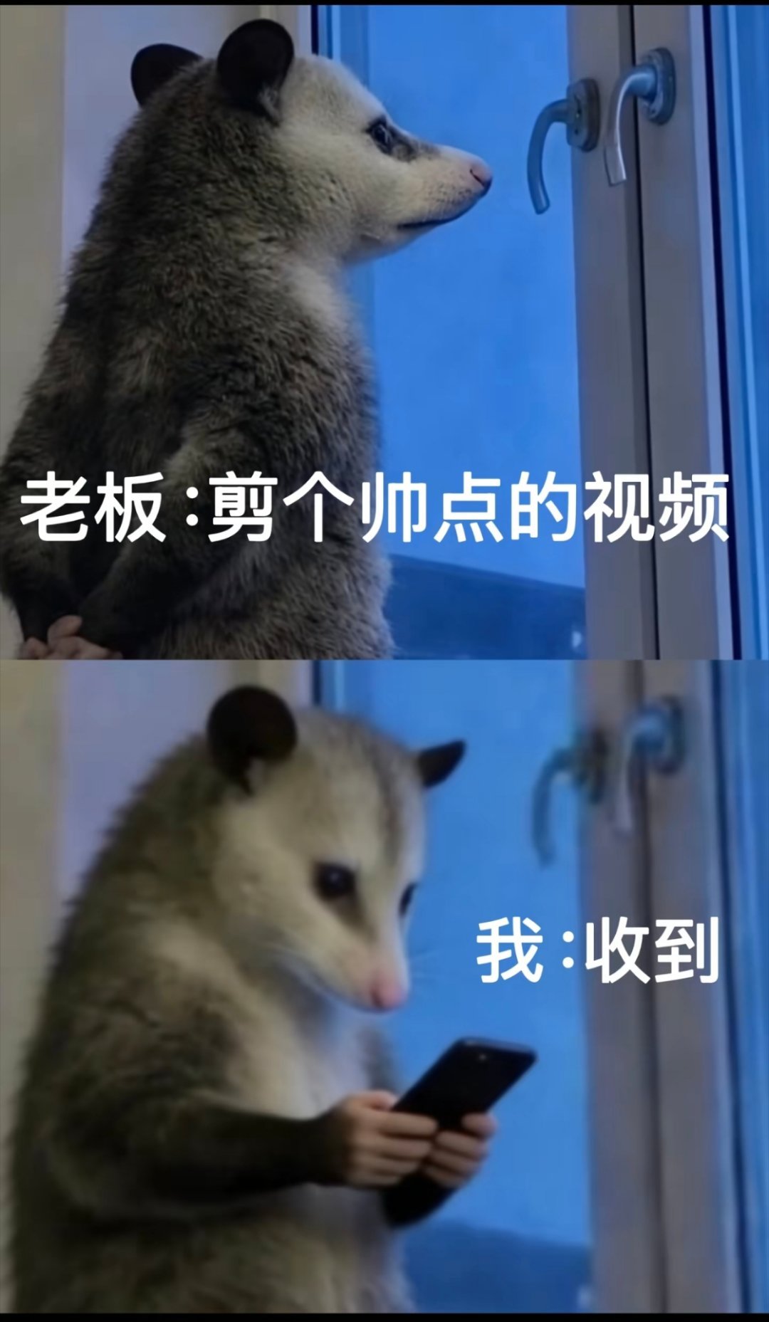 呵呵呵呵呵，我才看到，要不我给你报个班吧，我出钱