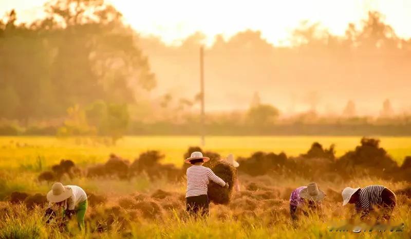 对联
上联:勤奋耕耘收获满
下联:辛劳探究学才丰
友友请展示下联 对下联 对联求