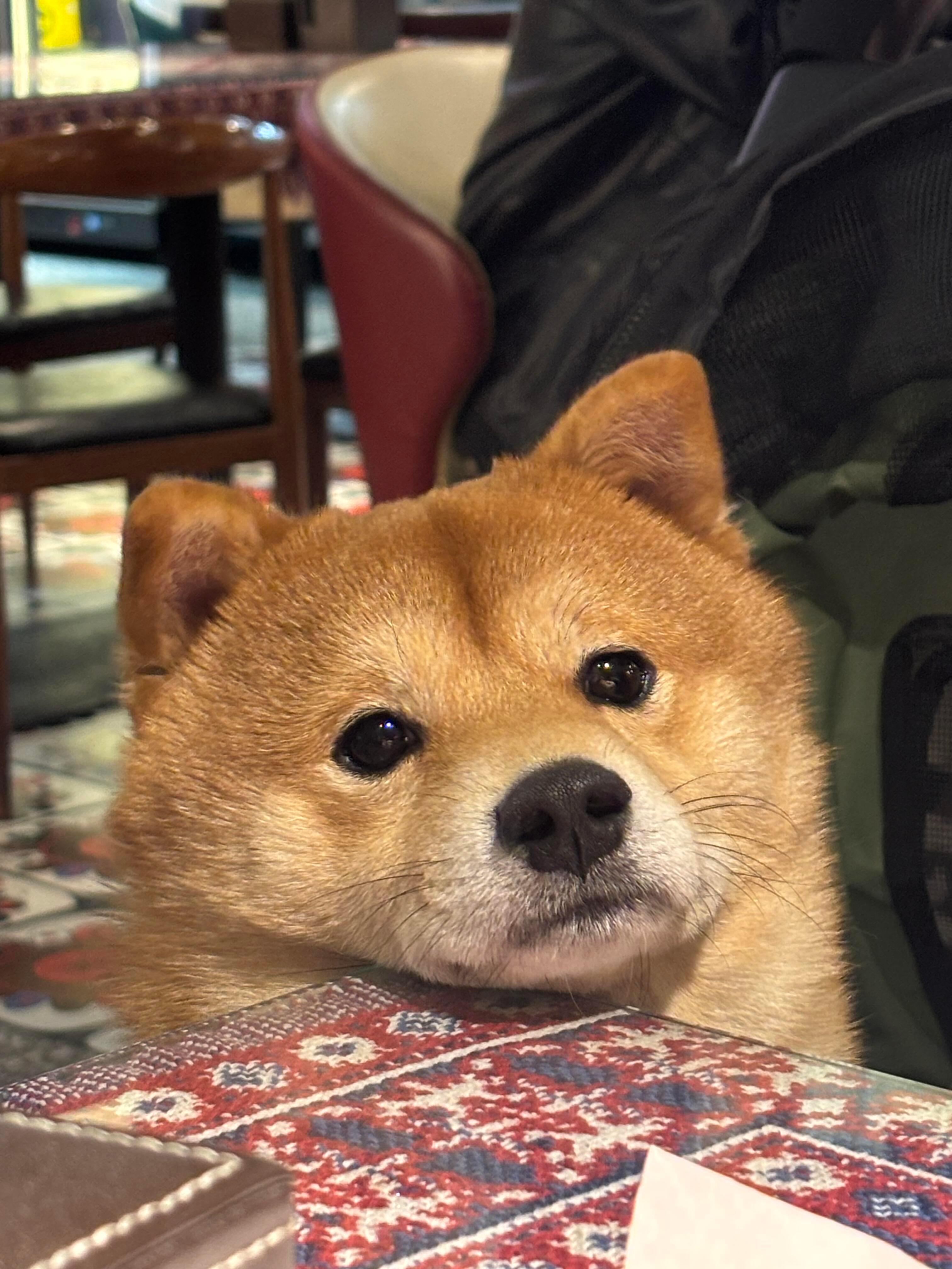 外面好热啊(´Д｀)💦 
