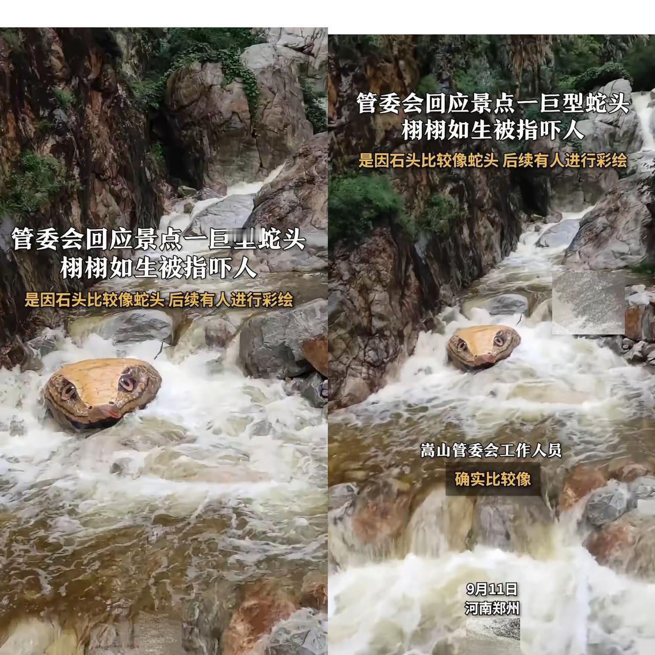 河南一景区“蛇头惊魂”冲上热搜！游客正美滋滋拍瀑布，
突然撞见个巨型蛇头，吓得手