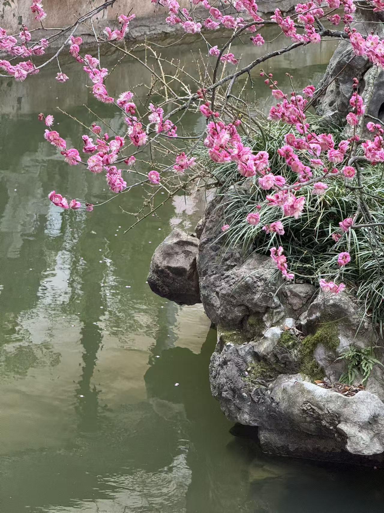 简单明了，市场即将开启年报发布的时间，因此，个股业绩也会受到业绩影响而出现大幅的