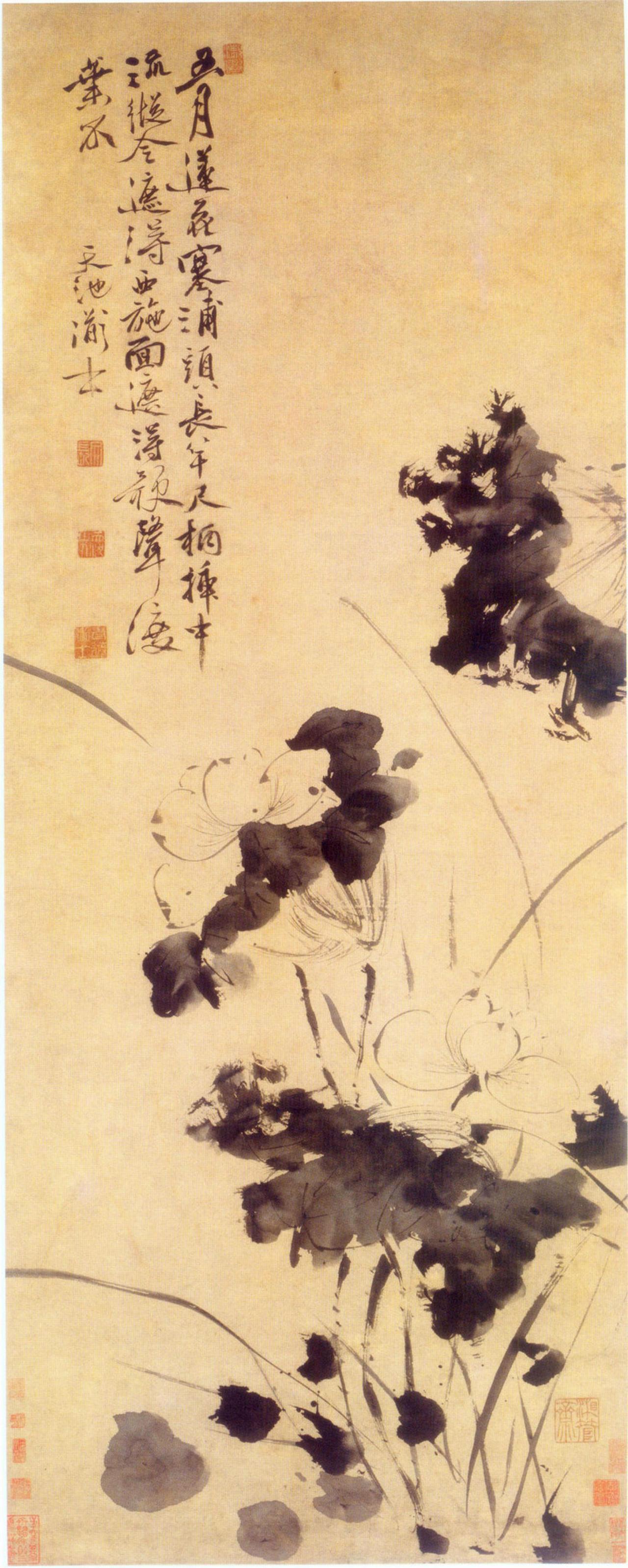 徐渭行草五月莲花图书法欣赏