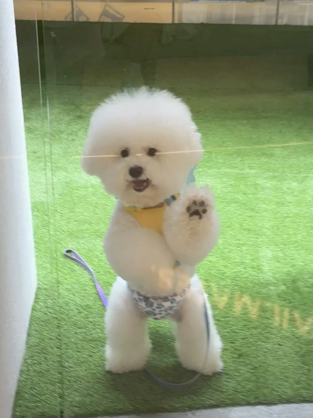 人，粗来玩呀👀