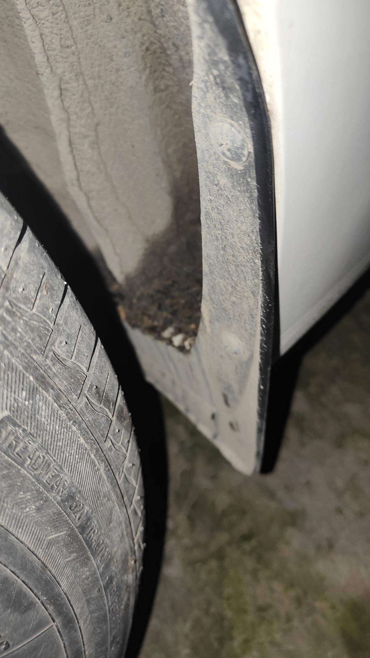 我车只有后轮有挡泥板
前轮根本就没有挡泥板
老铁们，轩逸是不是又减配了
你们的车