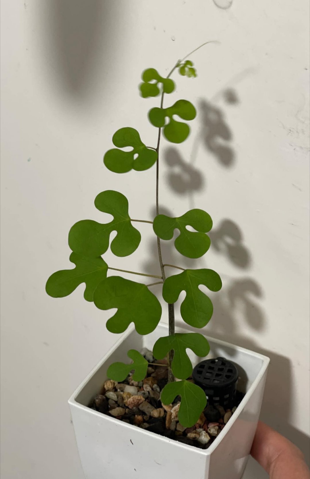 阳光信用在独处中沉淀，在坚持中成长，全力以赴，活成自己喜欢的模样。 