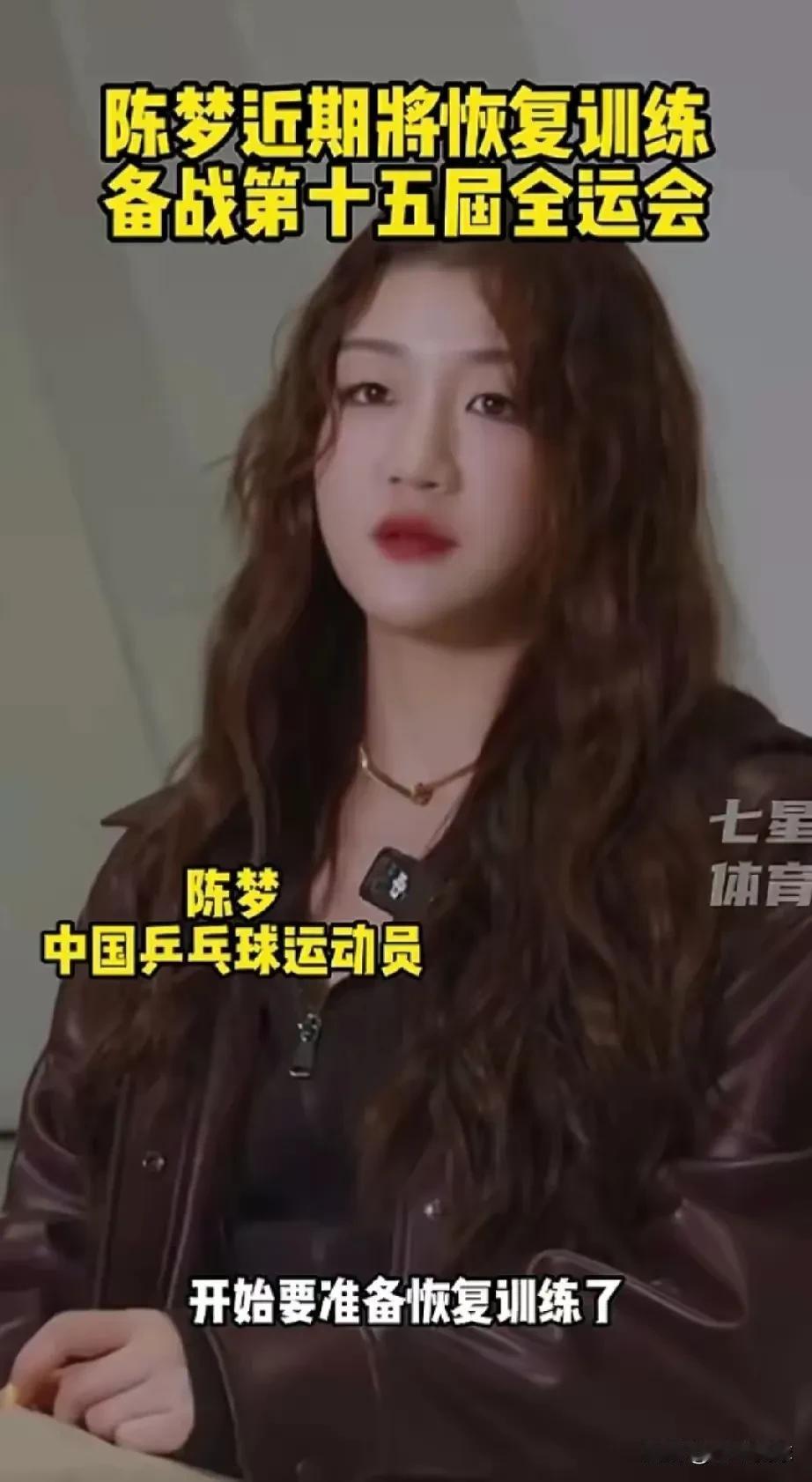 乒乓球界挺怪的，让人觉得惋惜！刘国梁卸任，樊振东也正常开始参加比赛了，陈梦也要回