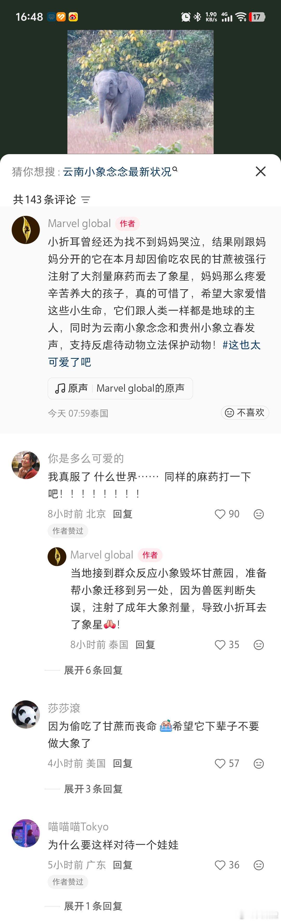 泰国的小象就因为嘴馋偷吃了点人类种的甘蔗，被错打麻醉剂过量直接变成安乐死了。网页