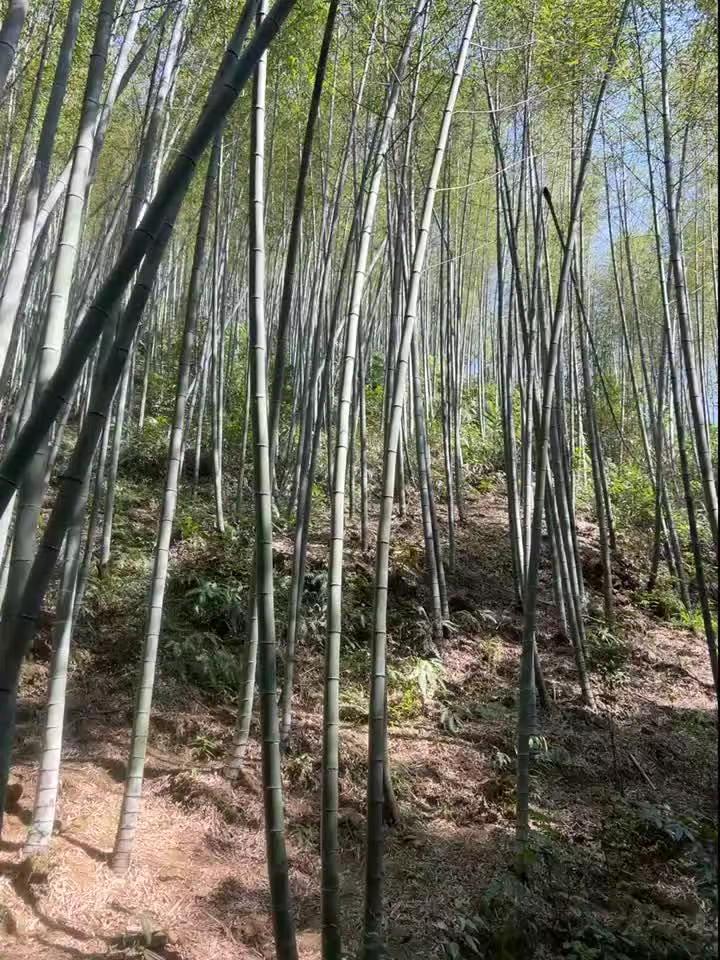 如果婚姻真的撑不住了，那就离婚吧，两个人心都不在一起了，互相折磨，还不如就此两别