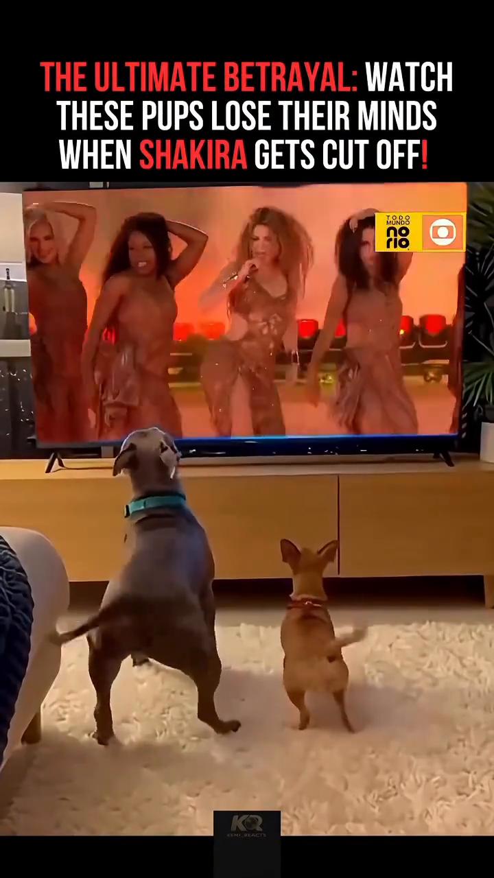 THE ULTIMATE BETRAYAL：WATCH。THESE PUPS L
