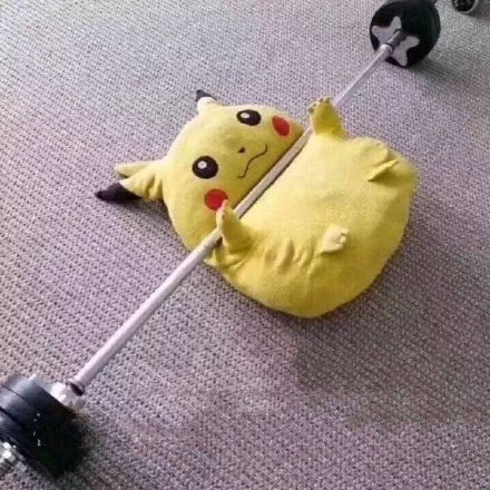 出门忙碌了还有俩天忙一下 