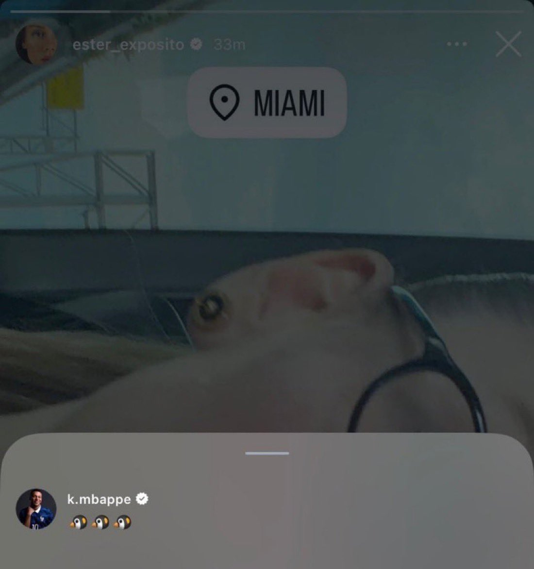 姆巴佩和女友的小暗号：🐧 ​​​