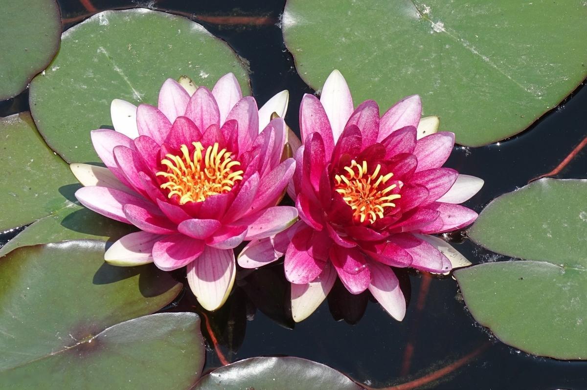 生活原本是没有色彩的画面，充满琐碎与漫长，唯有心怀热情的人，才可以将它的每一寸灰
