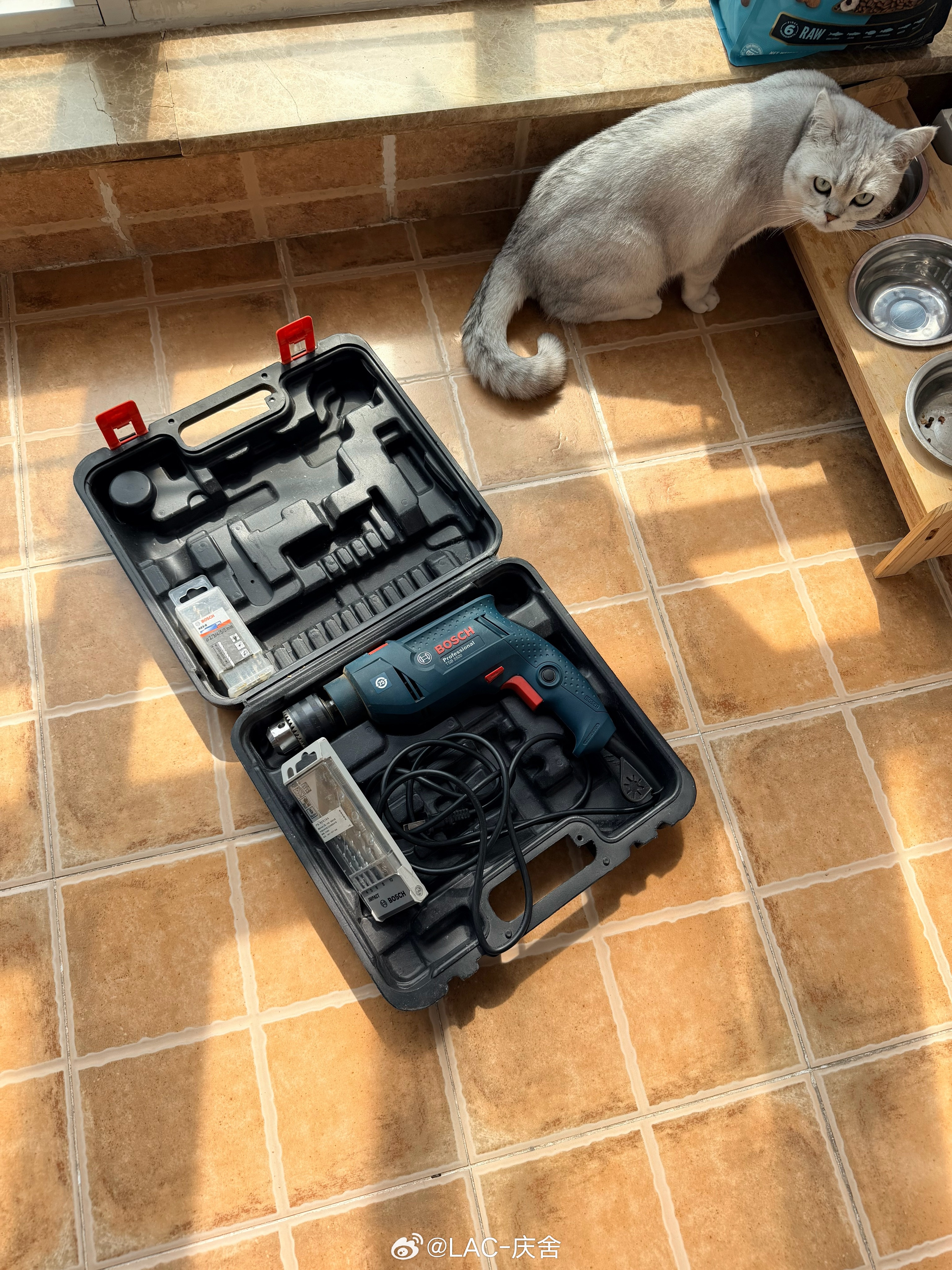 拿手枪钻给鞋柜开了个孔，把新的网络设备换好了。现在家里的网速跑到接近2000M了