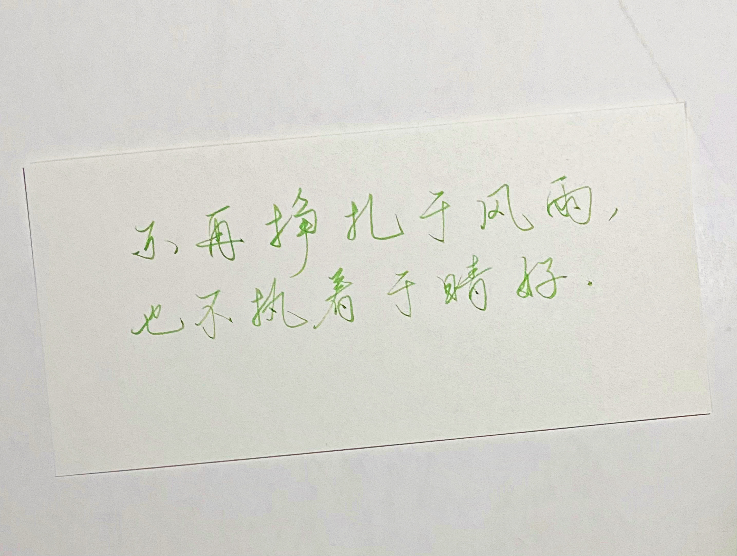 练字  不再挣扎于风雨 