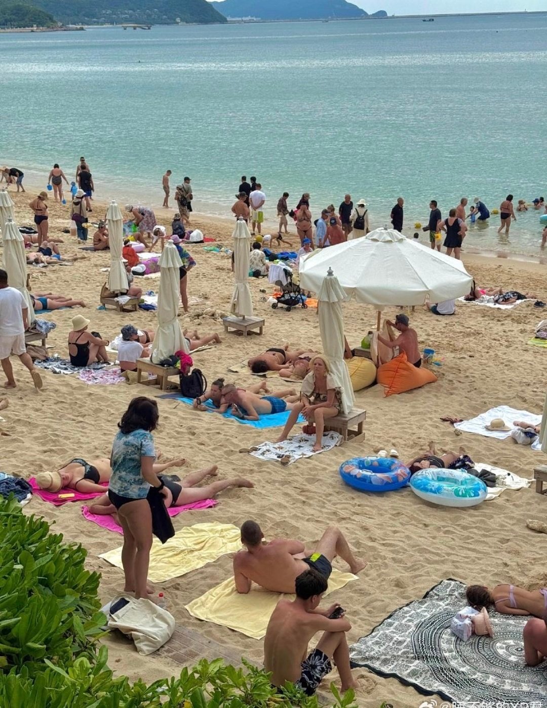 三亚海滩上长满俄国人大鹅是真爱晒啊一个个晒得白里泛红。。。不知道白天晒完回去会不