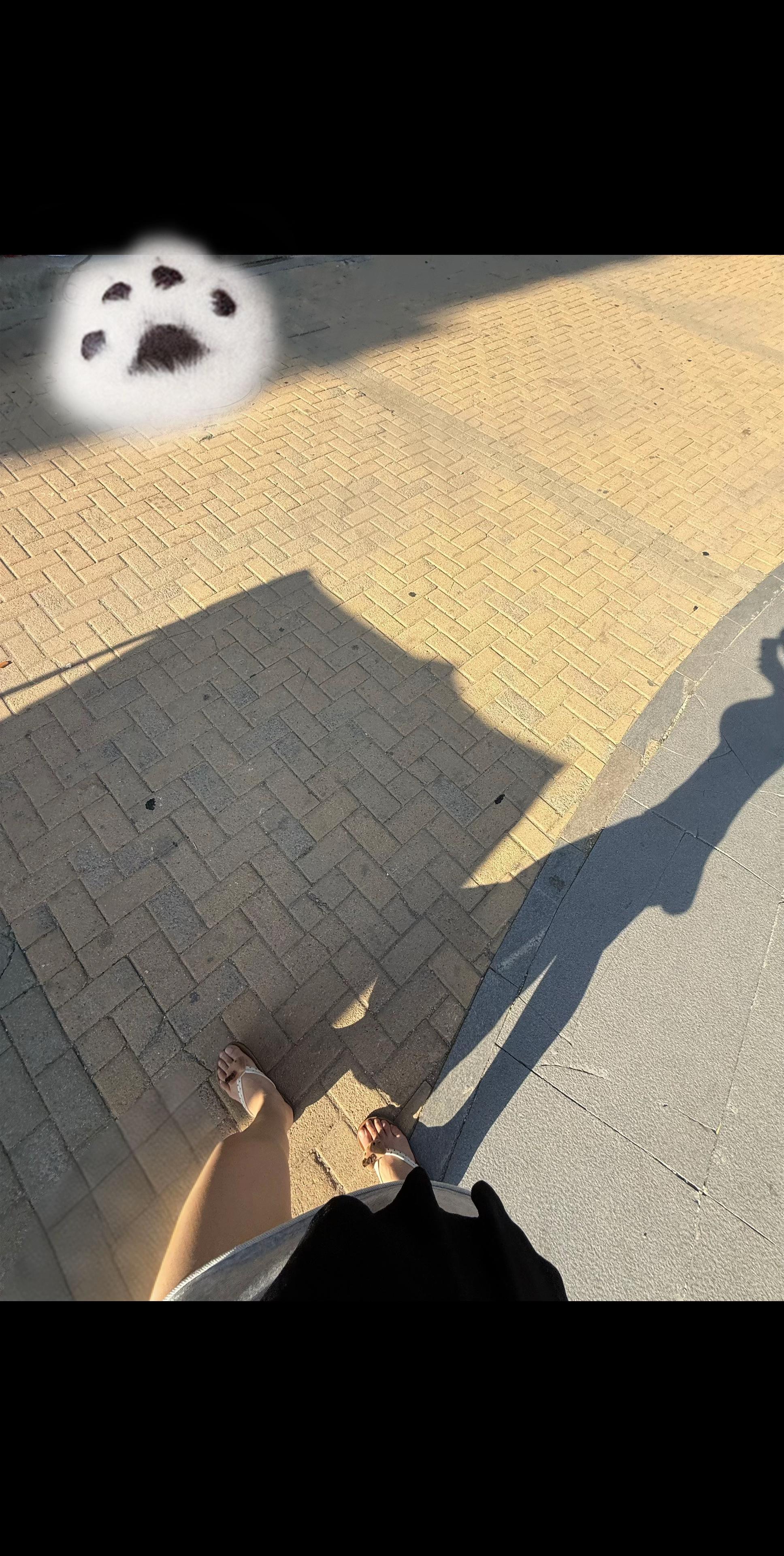 你如同一缕意外闯入寒夜的萤火，在我踽踽独行的岁月里，突然照亮了周遭沉寂...