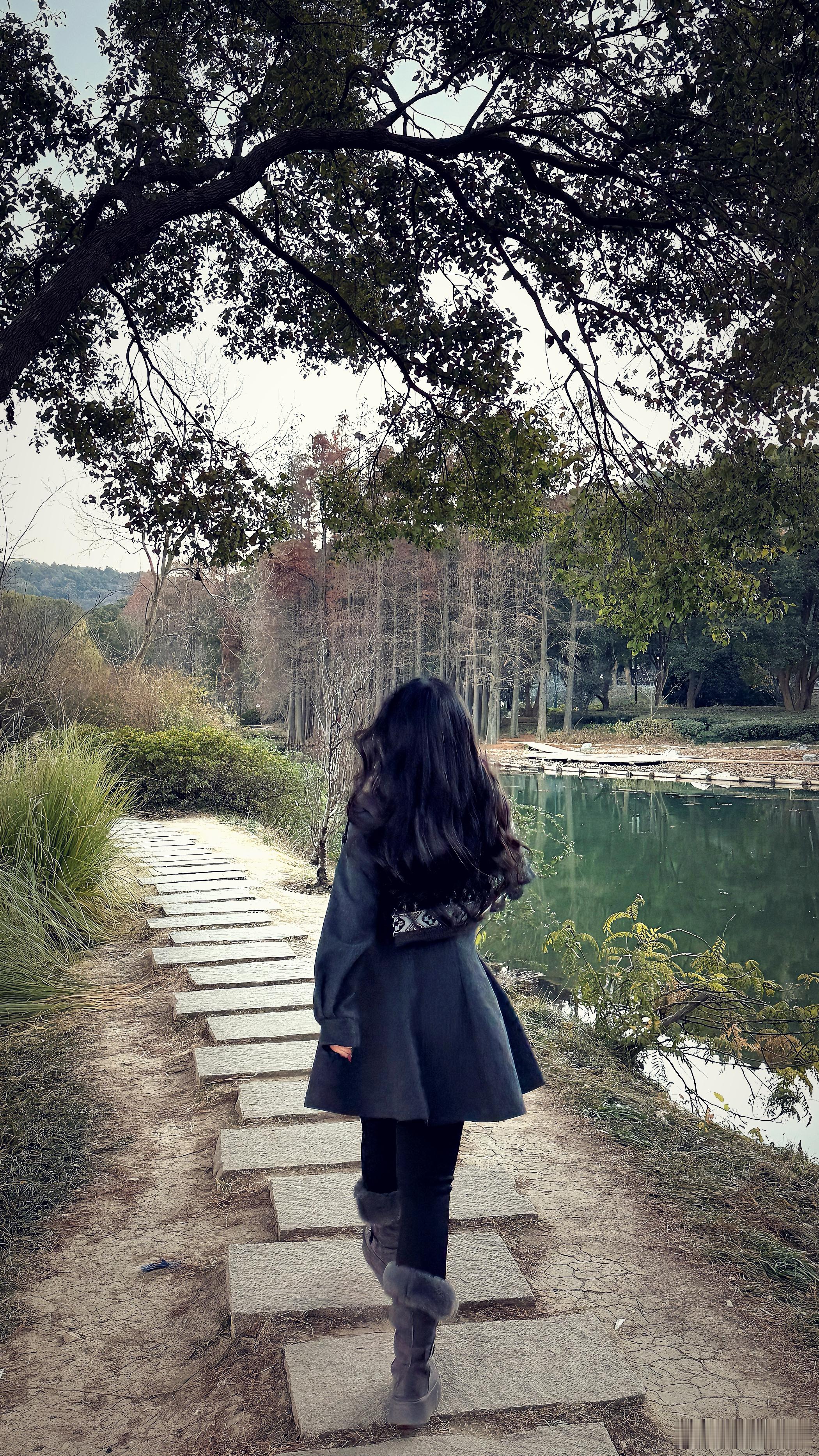 没能赶上鼋头渚的日落 