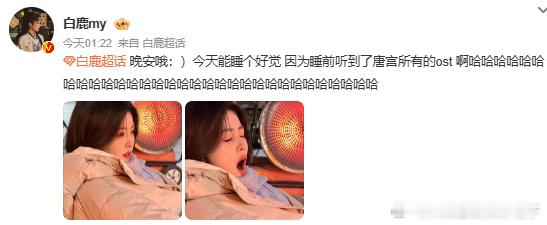 期待和李佩仪见面白鹿唱的唐宫奇案OST白鹿睡前听到了唐宫所有的OST白鹿晒照说睡