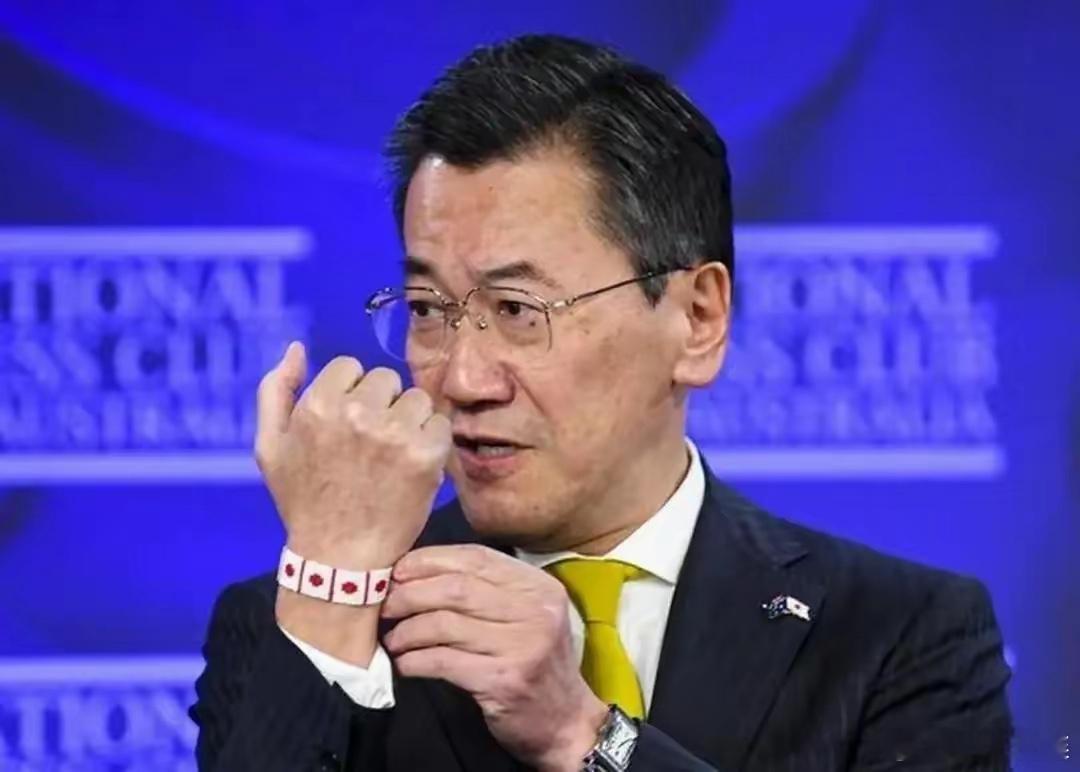 日本前驻澳大利亚大使山上信吾的观点：中国不配当超级大国，因为没有在战场取得重大的