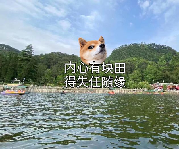 经历了才明白什么是人情世故，失去了才懂得什么是珍惜。现实面前，没有如果，不再纠结