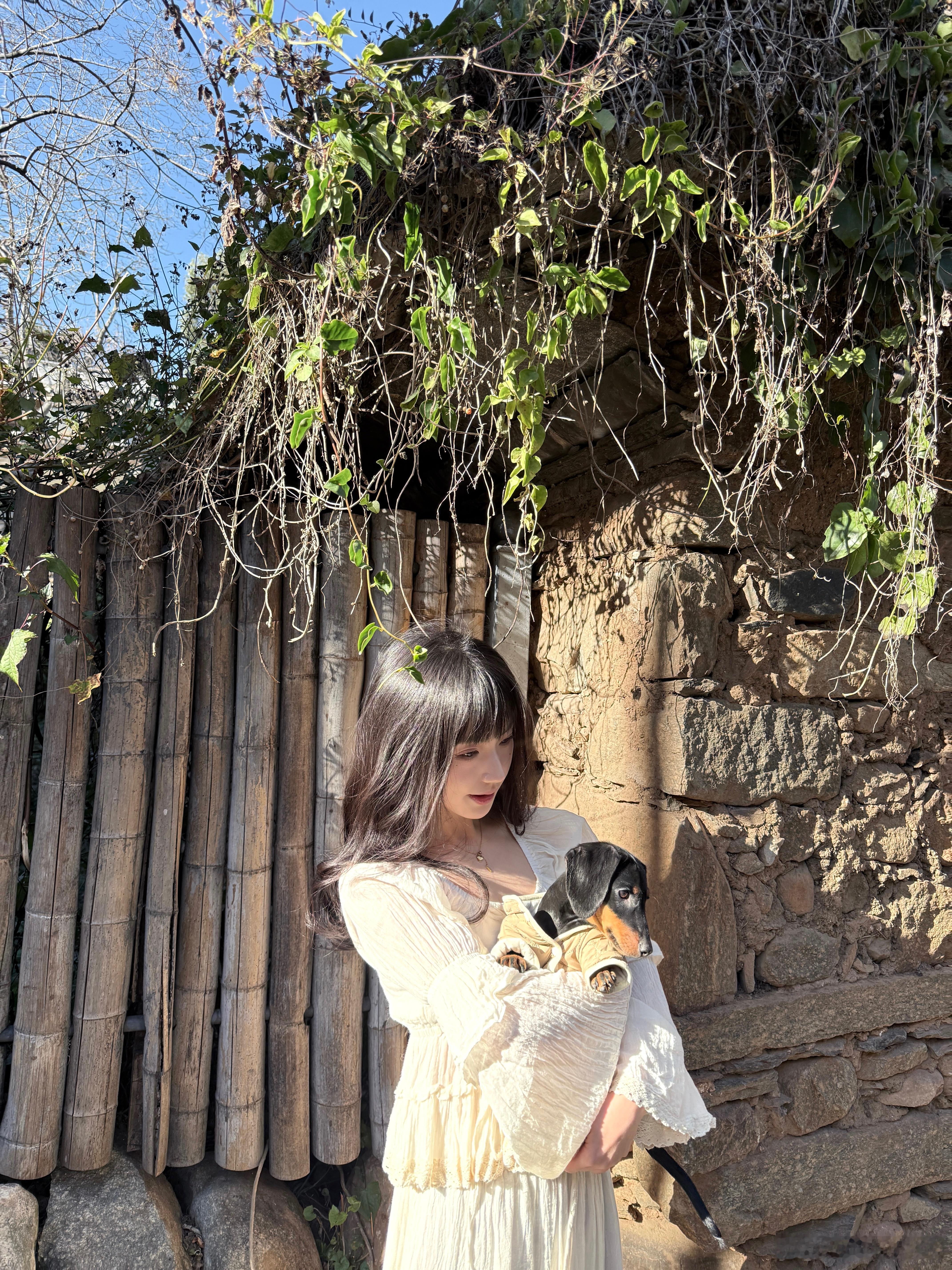 汪汪队出动 大理·洱海