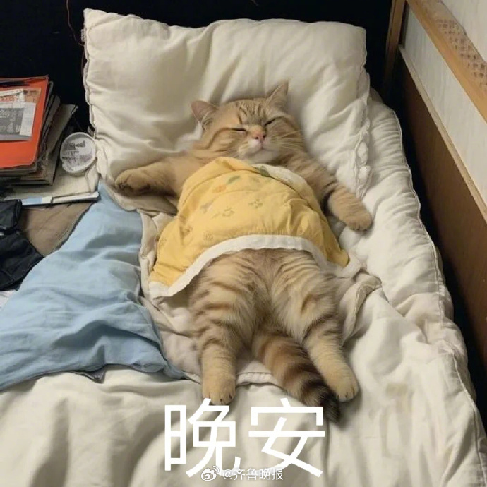 愿所有的后会有期，都是他日的别来无恙。#晚安#