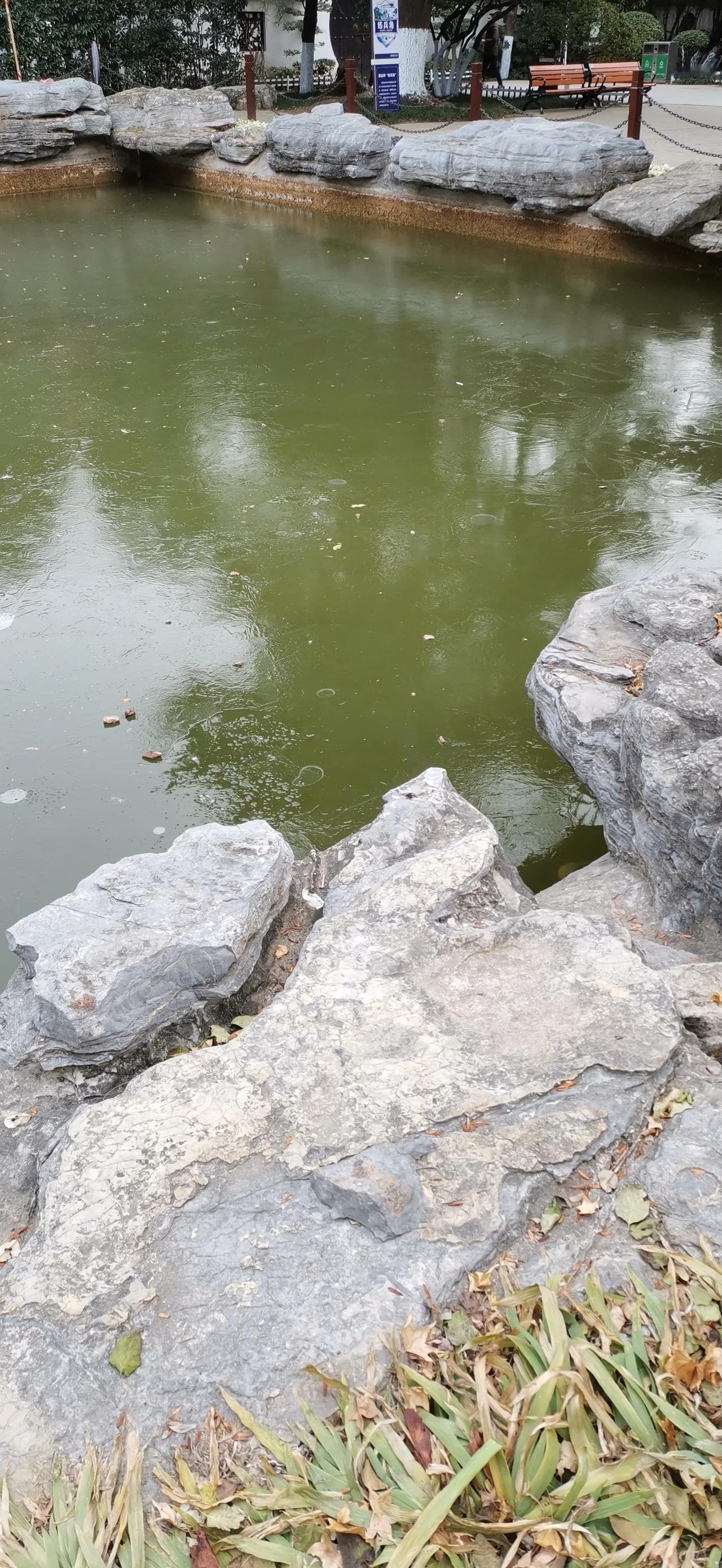 湖边美景随手拍。
