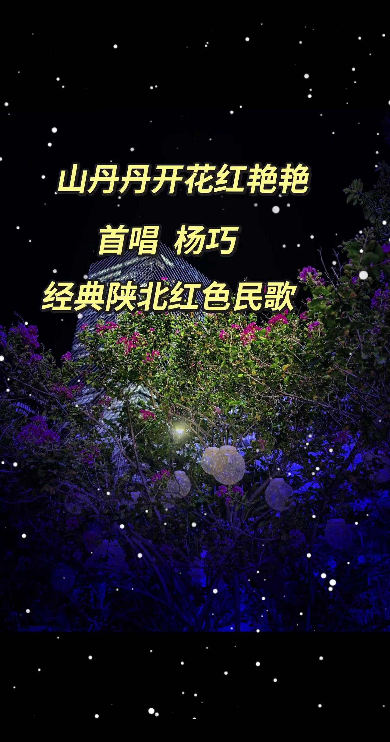 山丹丹开花红艳艳。经典陕北红色民歌山丹丹开花红艳艳