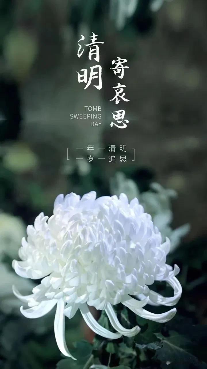 一年一清明，一年一追思。清明时节雨纷纷，路上行人欲断魂。回想父亲走的那一天，后悔