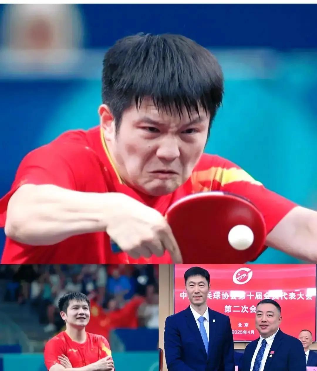 凌晨三点，那七个字比金牌还烫手。

王励勤发来微信：“回来，打一届。”

这哪是