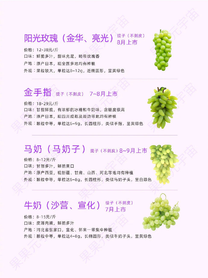 超全🤫24种常见葡萄品种，80%你都没吃过我的宝藏食谱