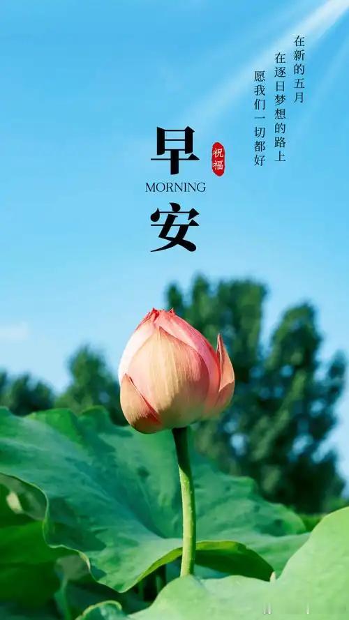 早安 