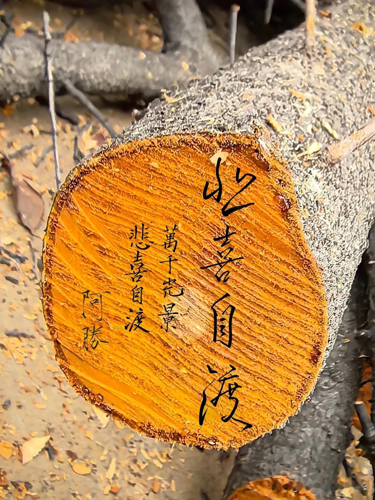 写字“人间万千光景，苦乐喜忧，跌撞起伏，除了自渡，其他人爱莫能助”！