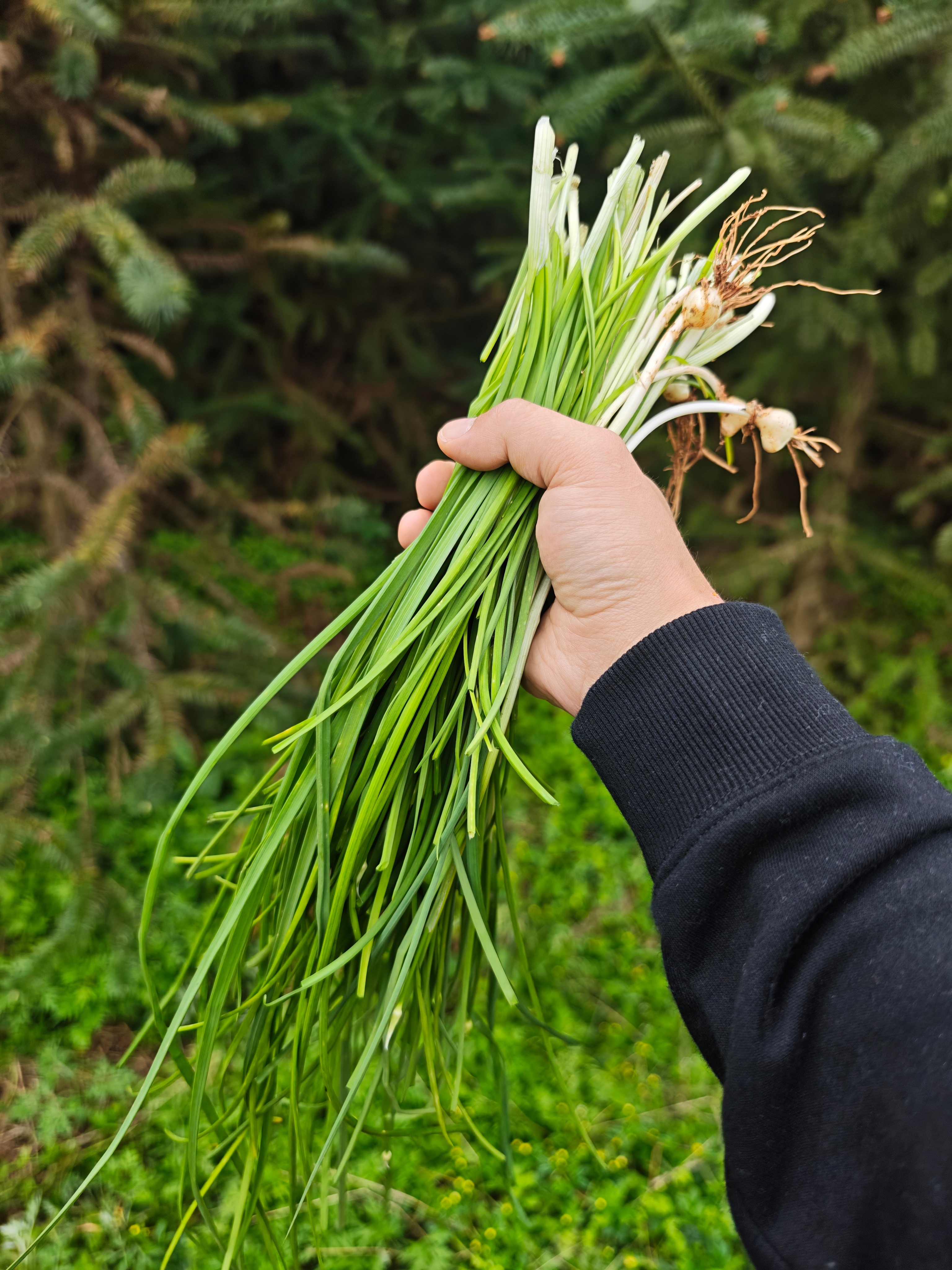 这些都吃过吗？ 