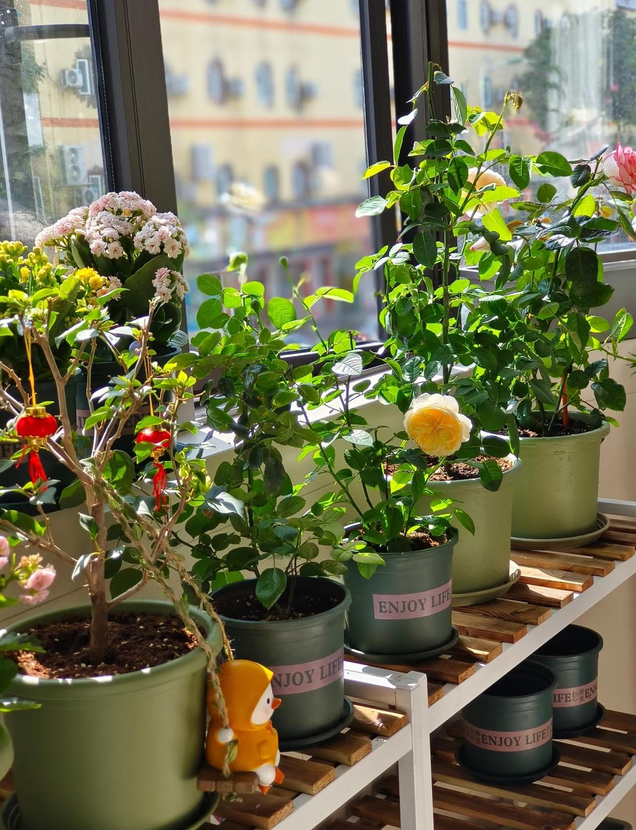 我婆婆这样正常吗？

她今年65岁了，每天哪里也不去，活动范围只有家里。

婆婆