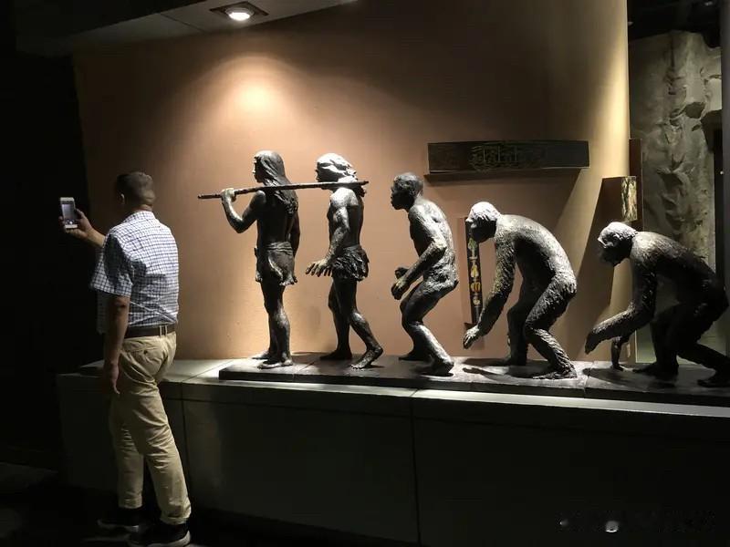 现在好多国家都在释放国家能源战略储备，这背后的原因值得深思。能源是国家发展的重要