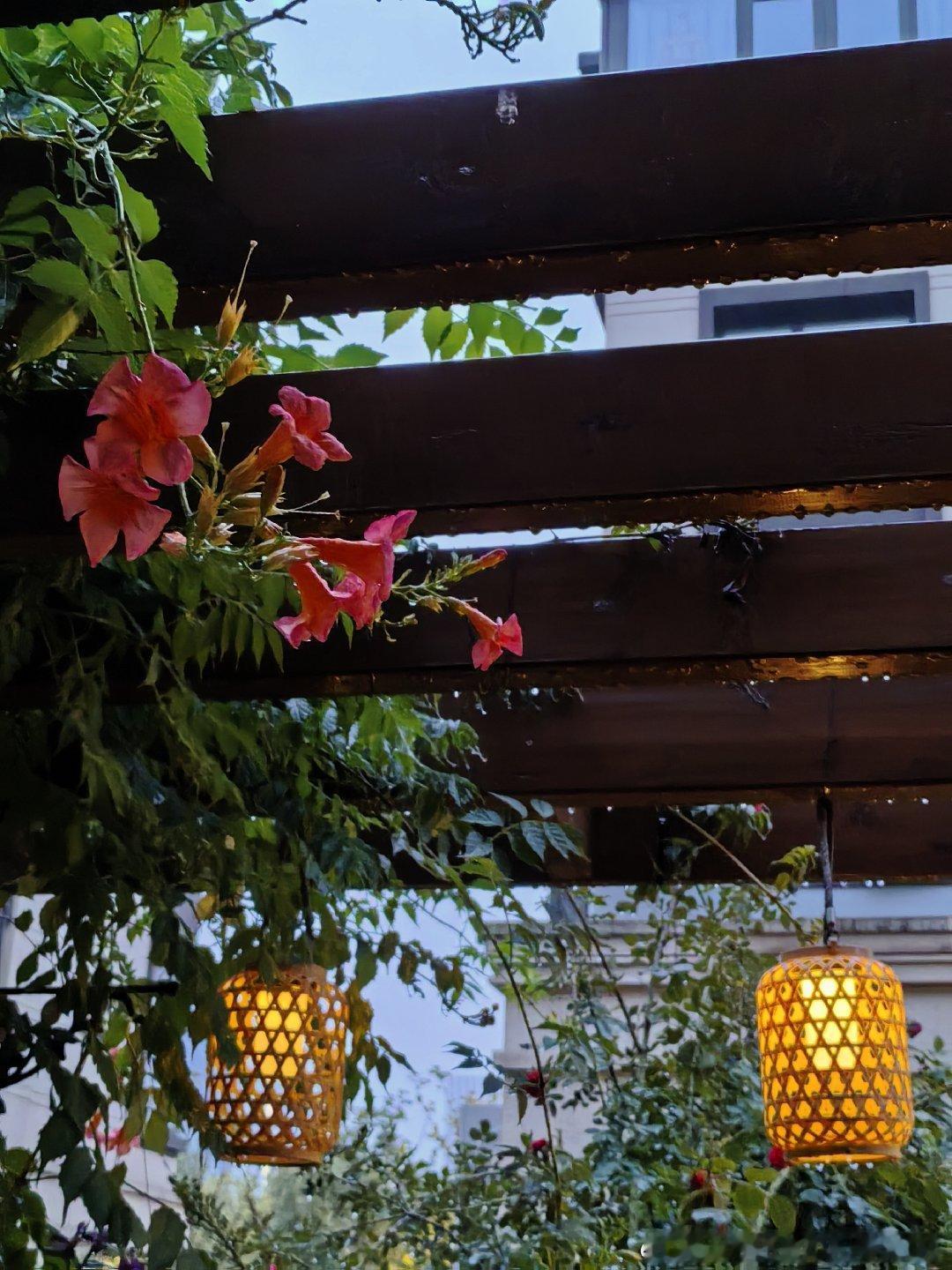 又在下雨！太阳能灯微弱的亮起…… 