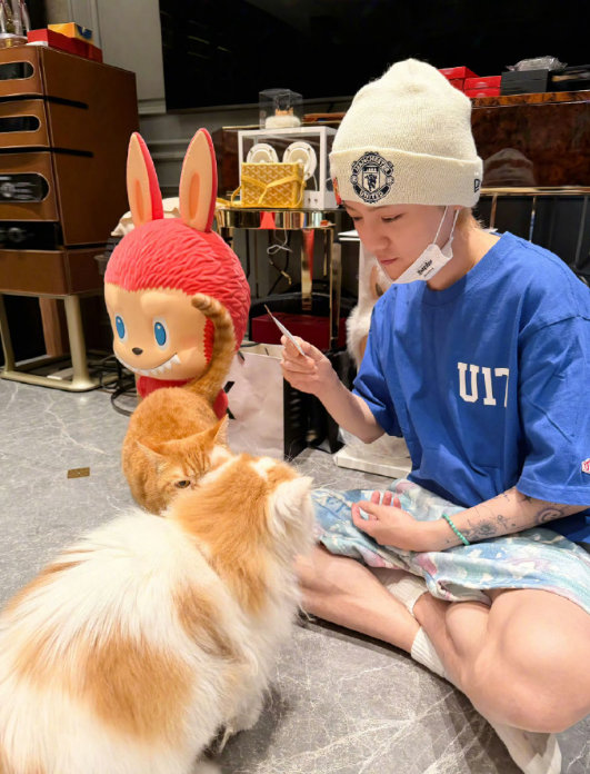 该给谁先吃呢？两只猫猫都很可爱！ 